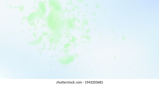 Pétalos de flores verdes cayendo. Curiosa explosión de flores románticas. Petal volador sobre fondo azul cielo. Amor, concepto romántico. Delicada invitación a la boda.