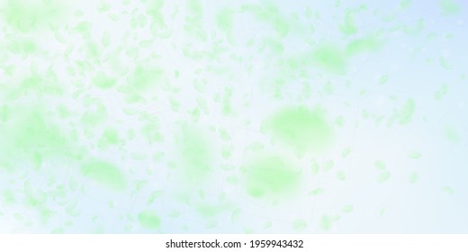 Green flower petals falling down. Shapely romantic flowers gradient. Flying petal on blue sky wide background. Love, romance concept. Divine wedding invitation.