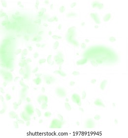 Green flower petals falling down. Bewitching romantic flowers gradient. Flying petal on white square background. Love, romance concept. Classy wedding invitation.