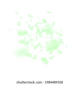 Green Flower Petals Falling Down. Optimal Romantic Flowers Explosion. Flying Petal On White Square Background. Love, Romance Concept. Attractive Wedding Invitation.