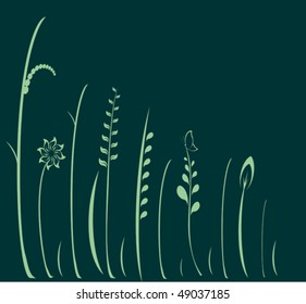 Green flower with petals and leaves vector file