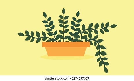 green flower in a flower pot