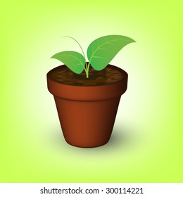 green flower in a pot