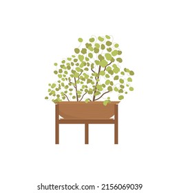 Green flower in a pot. Isolated. Flat style. Vector illustration