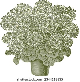 Green flower in pot  vector drawing 