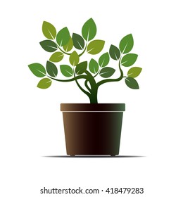 Green Flower and Pot. Vector Illustration.