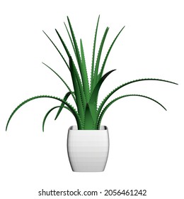 Green flower in a white pot isolated on a white background. Aloe flower. Front view. 3D. Vector illustration