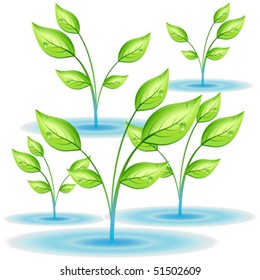 Green flowers