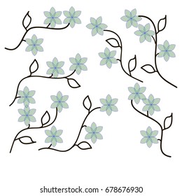 Green Flowers with Dark Leaves and Stem on White Background