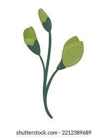 green flowers garden decoration nature