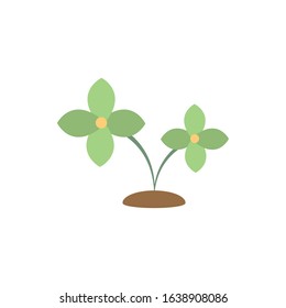 green flowers soil natural floral botanical on white background vector illustration
