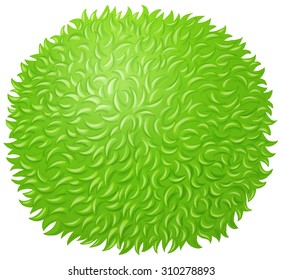 Green fluffy ball on white illustration