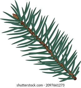 Green fluffy pine branch on transparent background