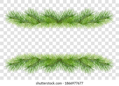 Green fluffy pine branches for christmas garland decoration isolated on transparent background. Vector illustration