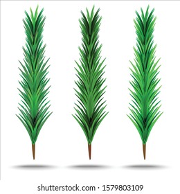 Green fluffy pine branch,flat design style,christmas, Happy Birthday, holidays, party concept, web button, mobile app. Logo illustration.esp10