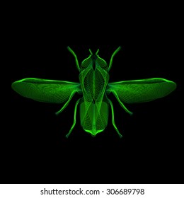 Green fly. 3d hologram style vector illustration for prints, bag, tattoo or t-shirt. Eps 10.