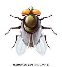 El insecto de la mosca verde al estilo de las caricaturas, insecto estilizado. Ilustración del vector en blanco