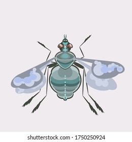 Green fly insect vector illustration.