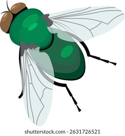 green fly no background vector