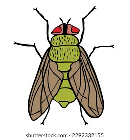 Green fly with red eye,good for graphic design resources.