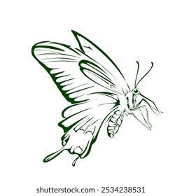 green flying butterfly silhouette icon on white background