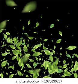 Green flying or falling off leaves. Vector abstract foliage background