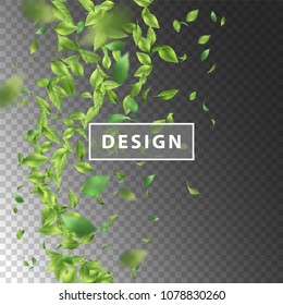 Green flying or falling off leaves. Vector abstract foliage background