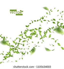 Green flying or falling off leaves. Vector abstract foliage background