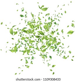 Green flying or falling off leaves. Vector abstract foliage background