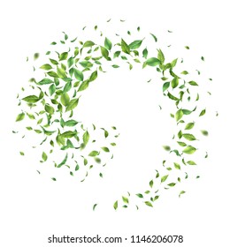 Green flying or falling off leaves. Vector abstract foliage background