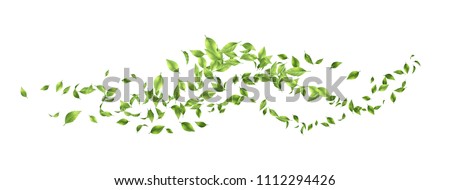 Green flying or falling off leaves. Vector abstract foliage background