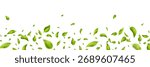Green flying leaves frame. Leaf falling on long white banner. Wave foliage ornament. Vegan, eco, organic design. Cosmetic pattern border. Fresh tea background. Beauty product. Vector illustration.