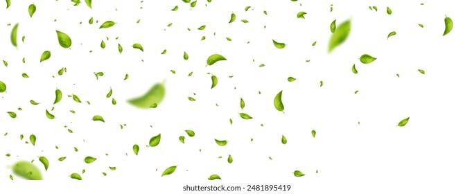 Marco de hojas voladoras verdes. Adorno de follaje ondulado. Vegano, eco, elemento de diseño orgánico. Hoja cayendo sobre Anuncio blanco. Borde de patrón cosmético. Fondo de té fresco. Producto de belleza. Ilustración vectorial.