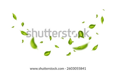 Green flying leaves on long white banner. Leaf falling. Wave foliage ornament. Vegan, eco, organic design element. Cosmetic pattern border. Fresh tea background. Beauty product. Vector illustration.