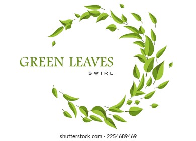 Green flying leaves Swirl. Flying green leaves. Fresh Tea Leaves round frame. Eco Design Concept.