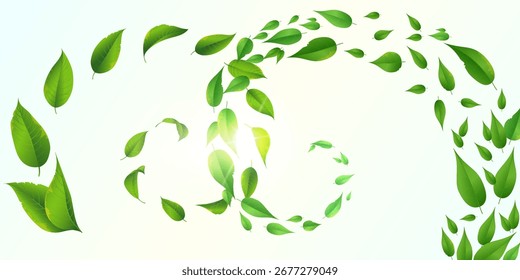 Folhas voadoras verdes. Ilustração vetorial