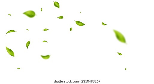Green flying leaves wave. Organic cosmetic background. Natural herbal tea. Vegan, eco, bio design element. Leaf falling. Summer foliage ornament. Beauty product. Healthy food. Vector illustration.