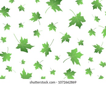 Green flying maple leaves on white background. Vector illustration with foliage 