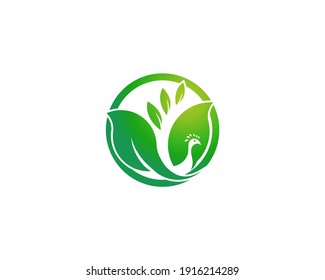 green flying peacock with wings leaf logo