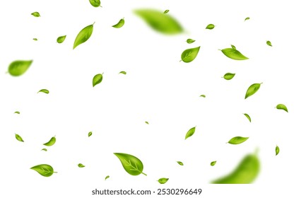 Green flying wave leaves border. Wave foliage ornament. Vegan, eco, organic design element. Leaf falling banner. Cosmetic pattern. Fresh tea background. Beauty product frame. Vector illustration.