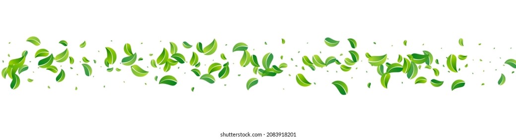 Green Foliage Abstract Vector Panoramic White Background Banner. Tree Leaves Backdrop. Swamp Leaf Flying Concept. Greens Realistic Pattern.