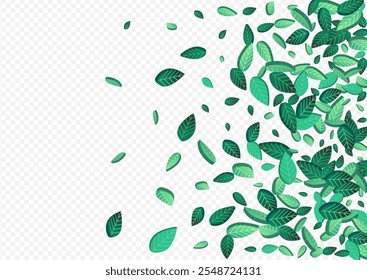 Green Foliage Abstract Vector Transparent Background Banner. Wind Leaf Backdrop. Forest Leaves Motion Plant. Greens Transparent Brochure.