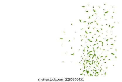 Green Foliage Abstract Vector White Background Pattern. Forest Leaves Design. Olive Leaf Swirl Backdrop. Greens Realistic Wallpaper.