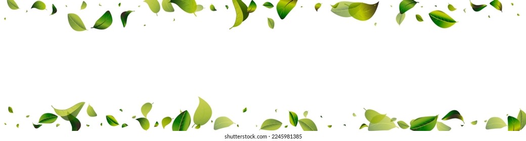 Green Foliage Abstract White Panoramic Vector Background Background. Tea Leaves Brochure. Forest Greens Spring Concept. Leaf Forest Pattern.