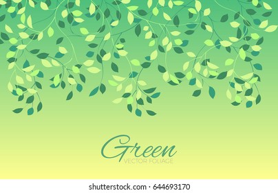 Green Foliage Background. Elegant Branches and Plants. Vector illustration