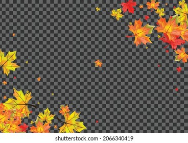 Green Foliage Background Transparent Vector. Floral Decor Design. Red Celebrate Plant. November Leaf Illustration.
