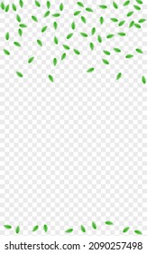 Green Foliage Background Transparent Vector. Leaf Healthy Card. Isolated Design. Greenish Process Frame. Plant Vibrant.