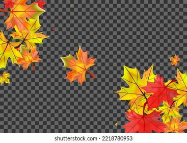 Grüner Blatthintergrund Transparenter Vektorgrafik. Leaf die Textur ab. Braun isolierte Blüte. Bodenbeläge Rahmen.