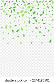 Green Foliage Background Transparent Vector. Plant Light Illustration. Forest Design. Light Green Environment Frame. Greenery Simple.