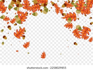 Green Foliage Background Transparent Vector. Plant Dry Set. Yellow Herb. Wallpaper Frame. Orange Leaf Border.